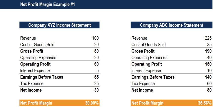 Example of Net Profit Margin