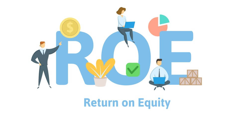 Billdu Profit ratios ROE Return on Equity